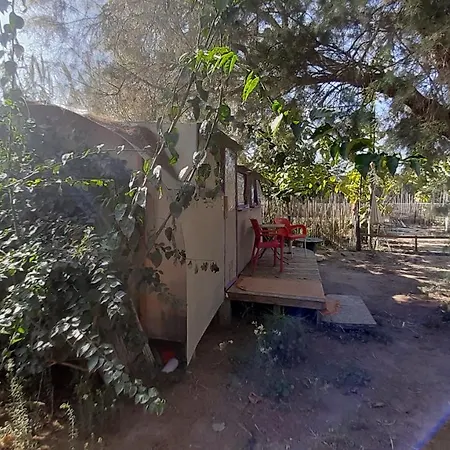 The Camp Bodrum Gumusluk